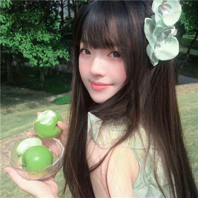 29片棕榈叶